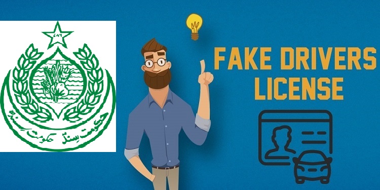 Sindh Driving License Verification System